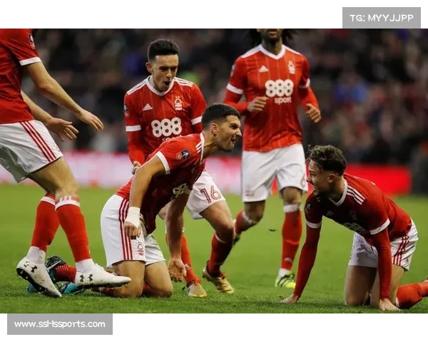 詹姆斯-加纳破门，埃弗顿客场领先诺丁汉森林